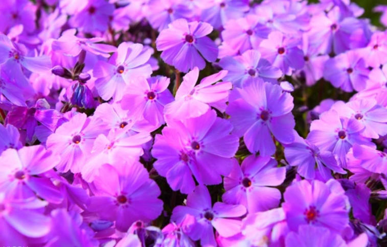 202601271147-6340862121.png image.png