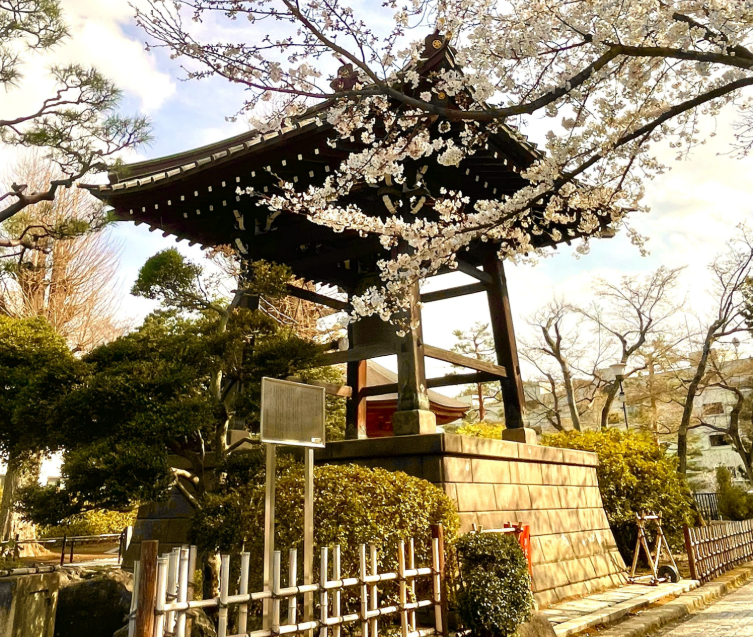 202601271333-4632014951.png image.png