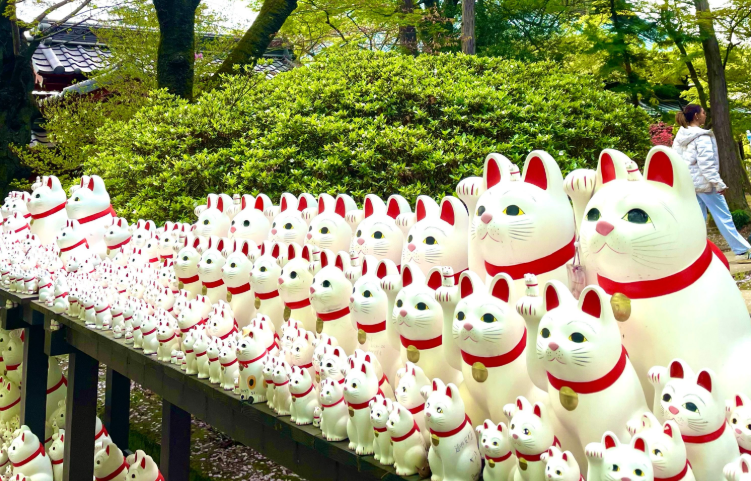 202601271333-5675077473.png image.png