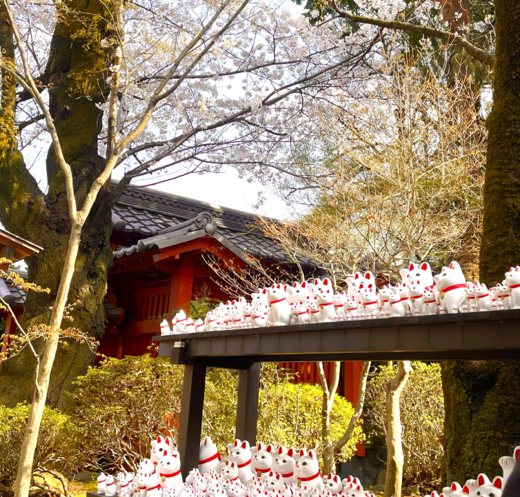 202601271334-2716586474.png image.png