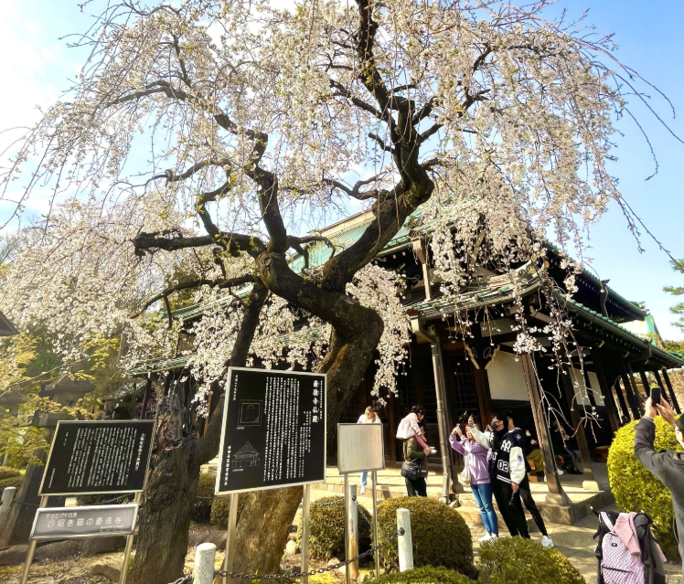 202601271334-5866202095.png image.png