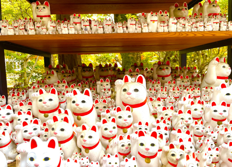 202601271334-9258096924.png image.png