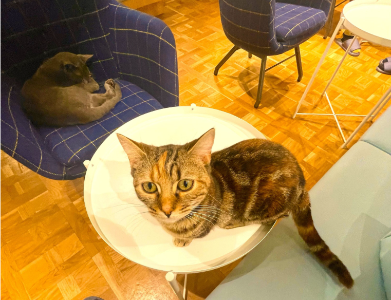 202601271334-9317062762.png image.png