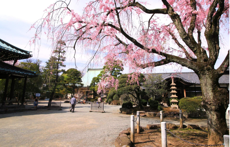 202601271335-4833359079.png image.png