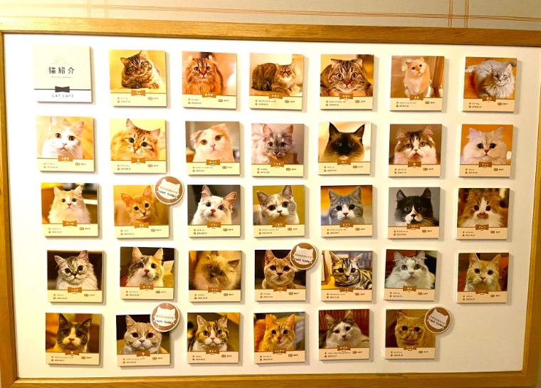 202601271335-6315503694.png image.png