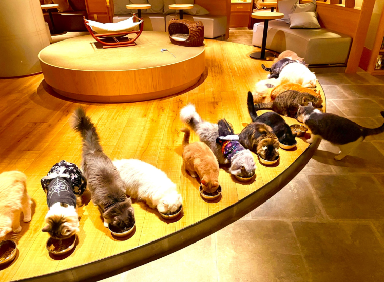 202601271337-5531244591.png image.png