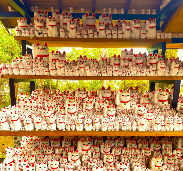 202601271337-8595147653.png image.png