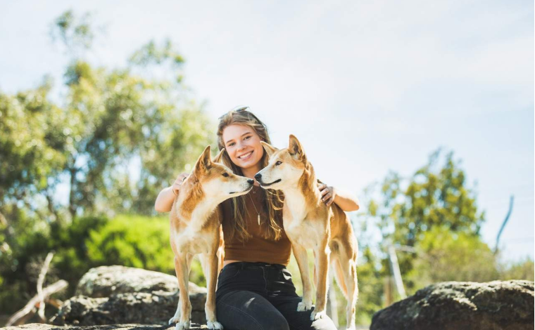 202601271339-6734444668.png image.png