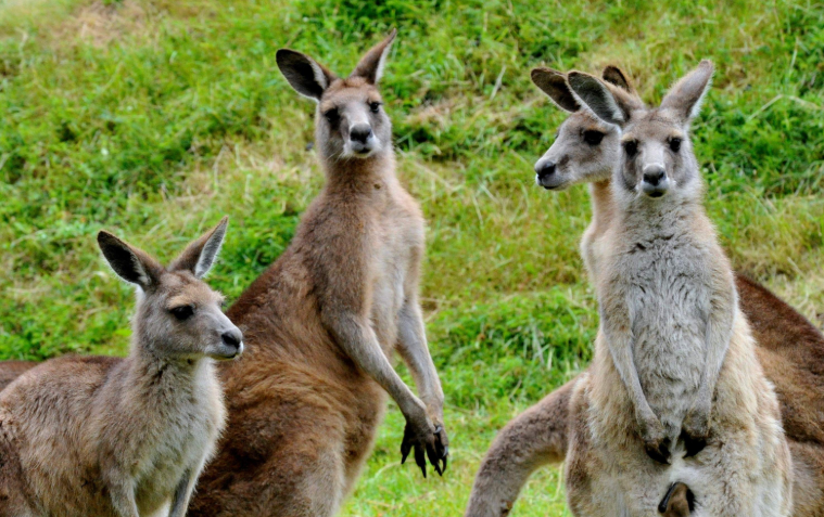 202601271339-8304503311.png image.png