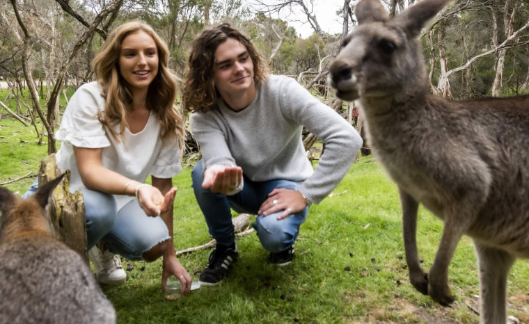 202601271340-8294845108.png image.png