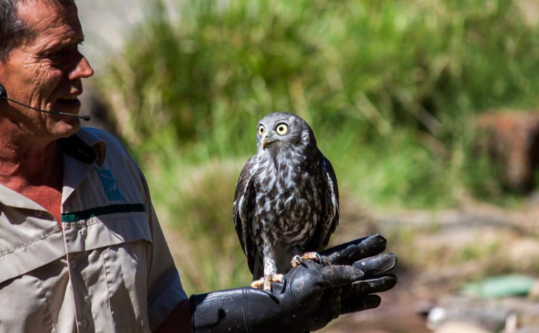 202601271349-5622598343.png image.png