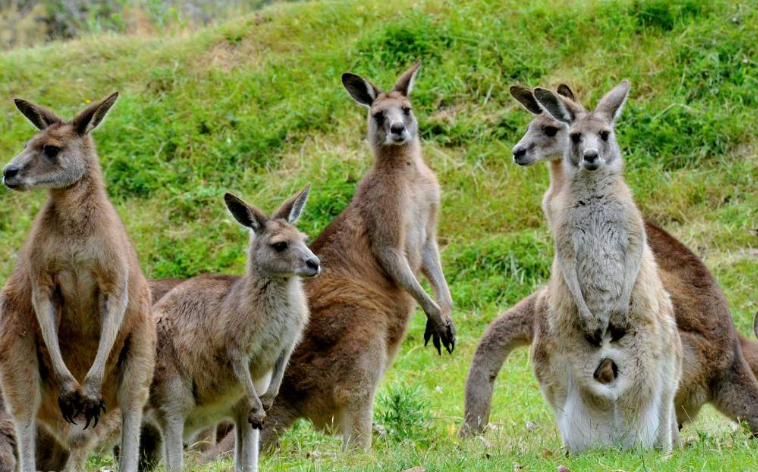 202601271350-1642775737.png image.png