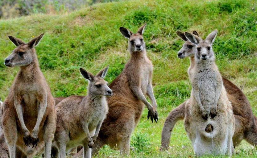 202601271353-4961922765.png image.png