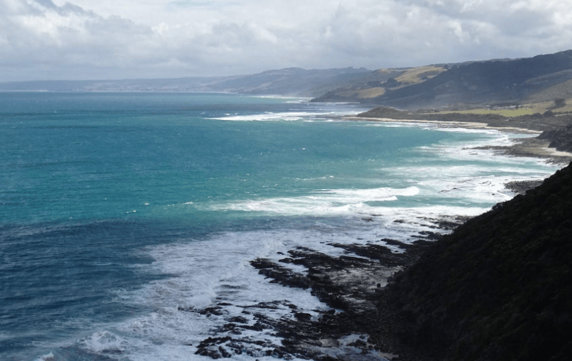 202601271358-5278101194.png image.png