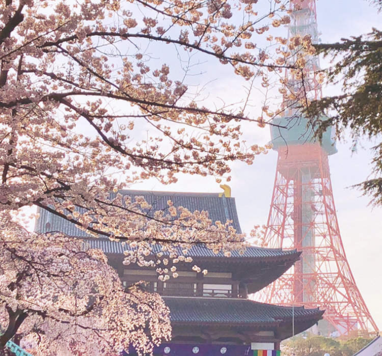 202601271400-6422511495.png image.png