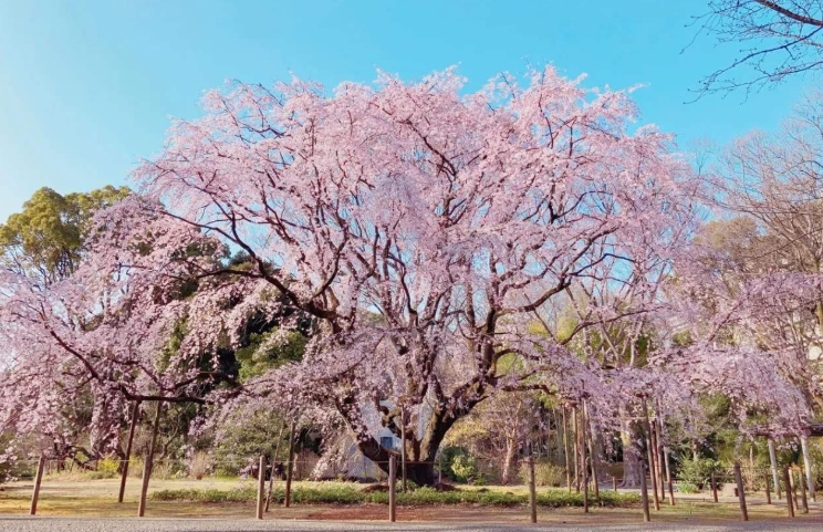 202601271401-2407673073.png image.png