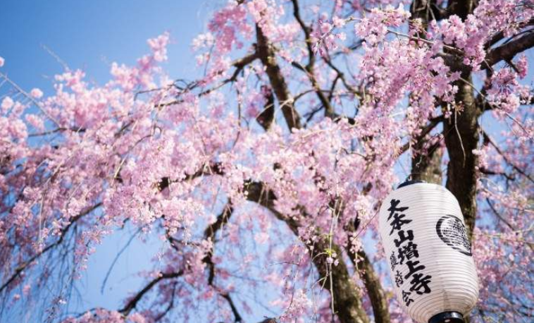 202601271401-4285054172.png image.png