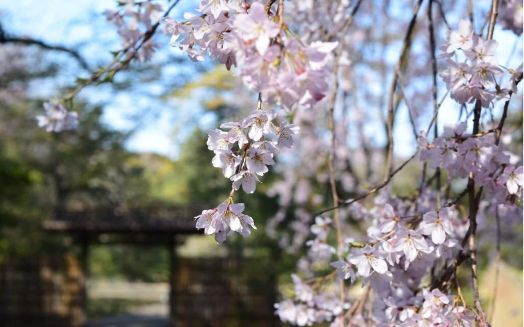 202601271401-8902106753.png image.png