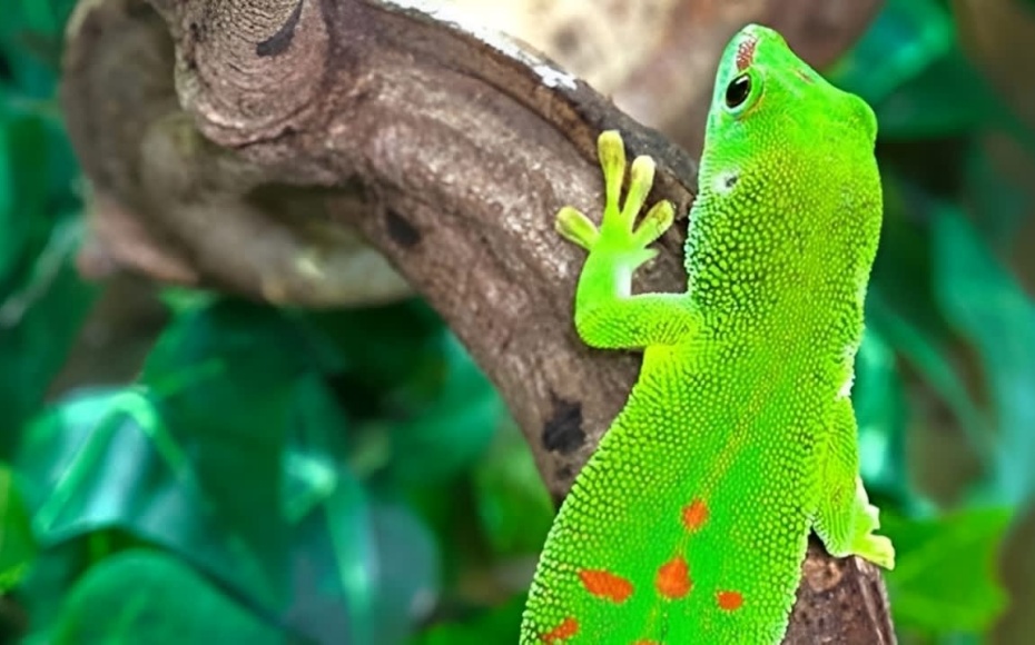 202601271406-1939568740.jpg a3krrptj3ayadokoplzf.jpg