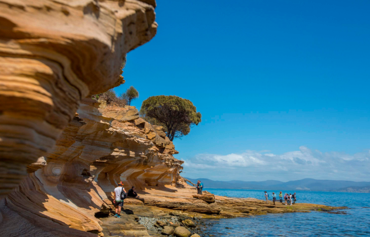 202601271406-6232902968.png image.png