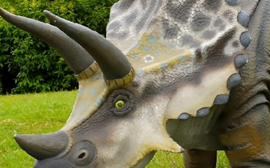 202601271406-8028380771.jpg sxfdicufsp8hytueoa0m.jpg