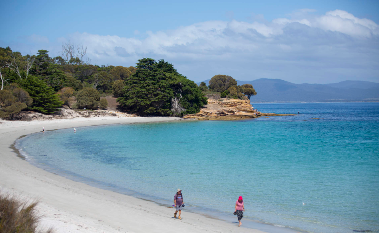 202601271407-7446689015.png image.png