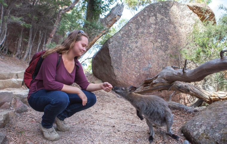 202601271427-5660257166.png image.png