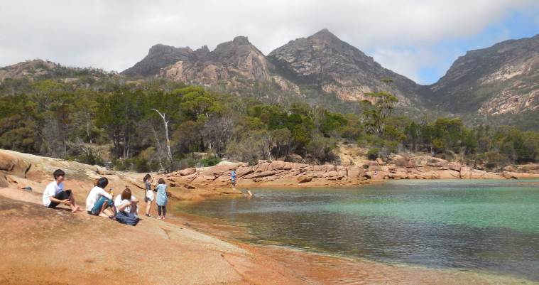 202601271427-6301181695.png image.png