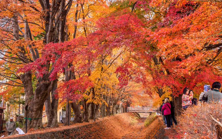 202601271439-1957435471.png image.png