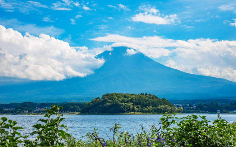 202601271439-8981655705.png image.png