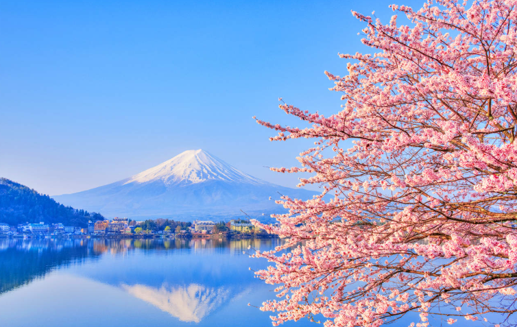 202601271441-1234441155.png image.png