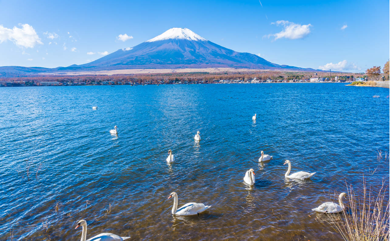 202601271441-4753520985.png image.png