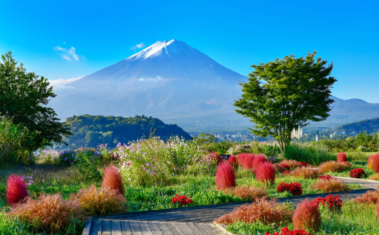 202601271442-4448835762.png image.png