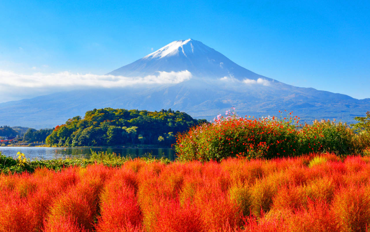 202601271443-2176116777.png image.png