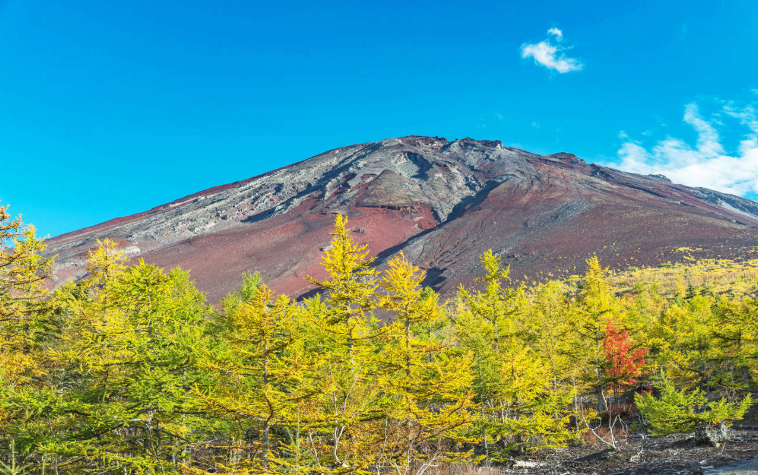 202601271443-4480428695.png image.png