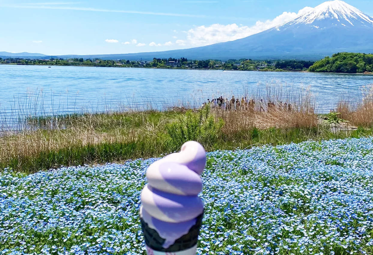 202601271443-6125870067.png image.png