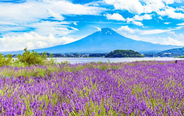 202601271443-9023763197.png image.png