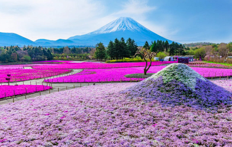 202601271444-1757249129.png image.png