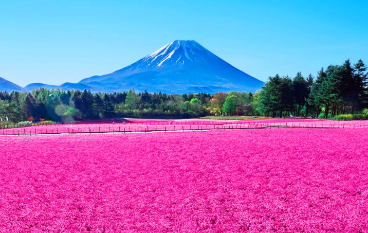 202601271444-8969922241.png image.png