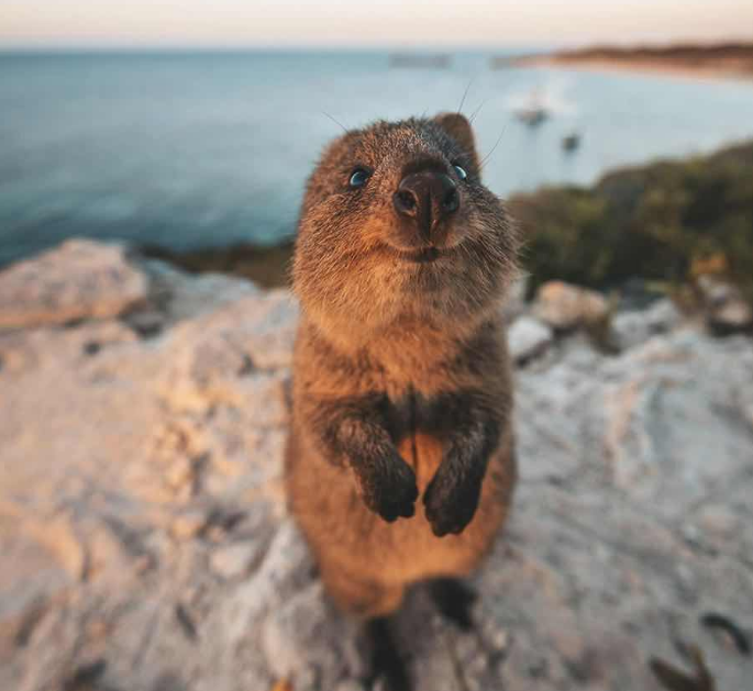 202601271454-1212159226.png image.png