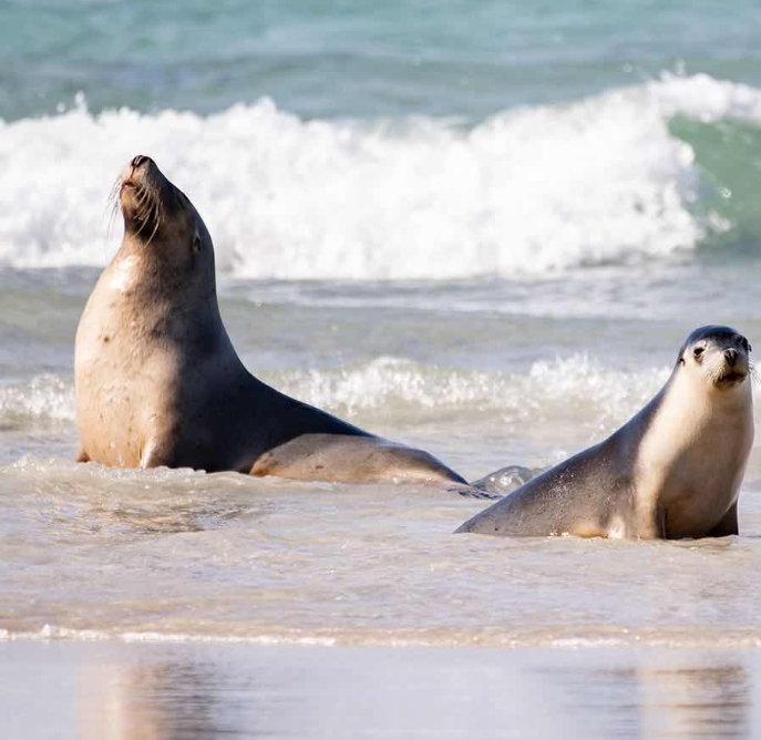 202601271455-5495916789.png image.png