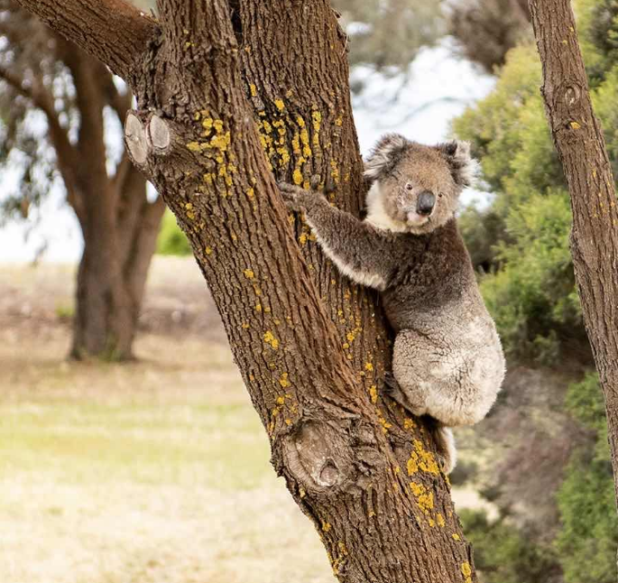 202601271455-6944622824.png image.png