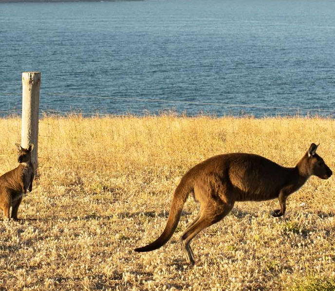 202601271455-7119682043.png image.png