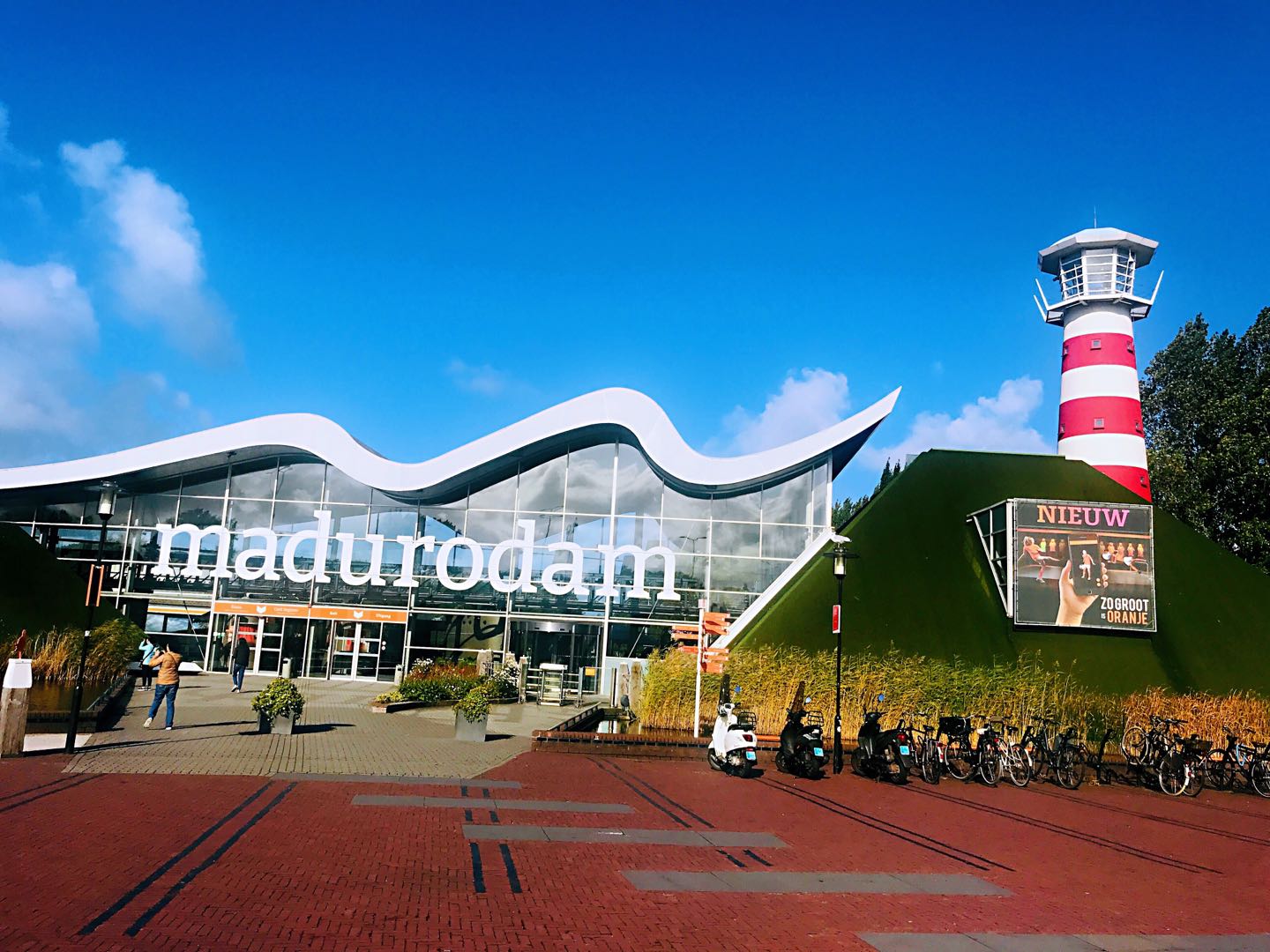 202601271705-5060388308.jpg 202601271439-cdxclnbnot.jpg