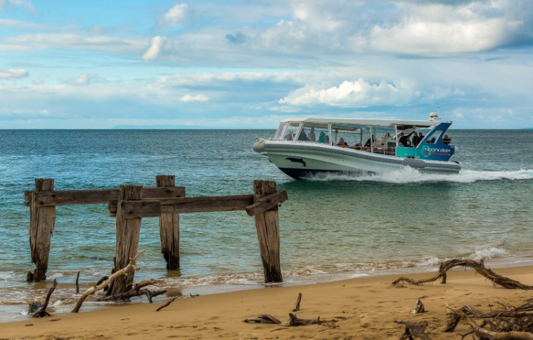 202601280925-4184600348.png image.png