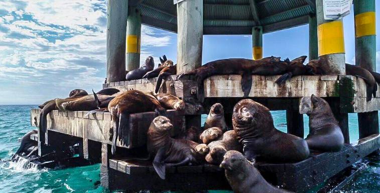 202601280926-7955680723.png image.png