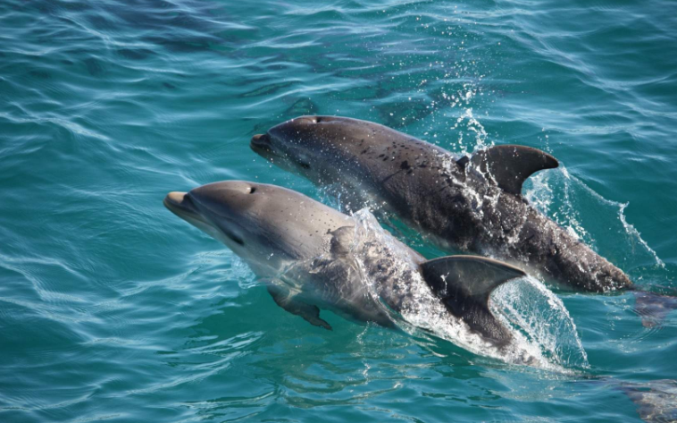 202601280926-9486514507.png image.png