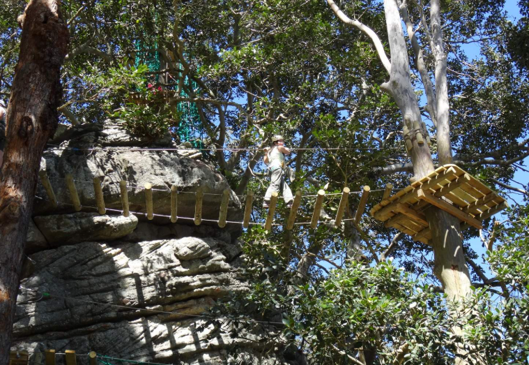 202601281023-8071695368.png image.png