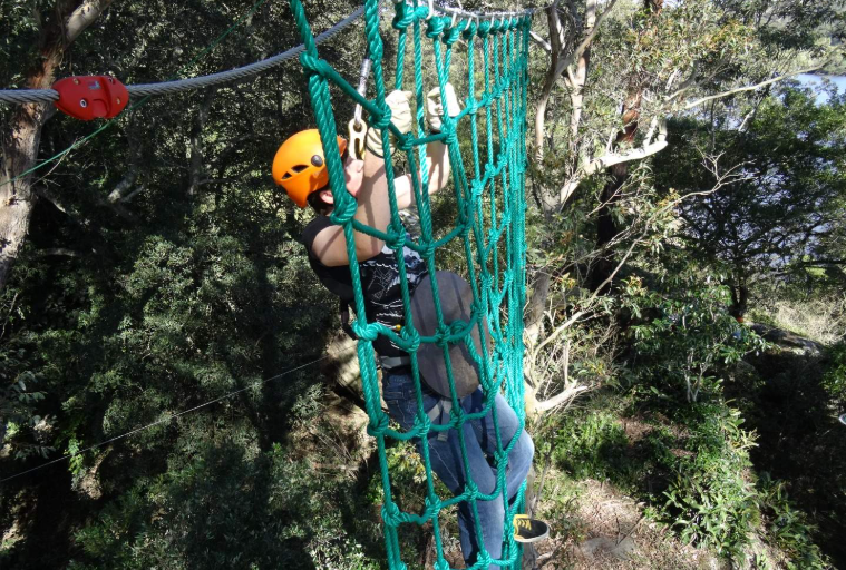 202601281024-9580820955.png image.png