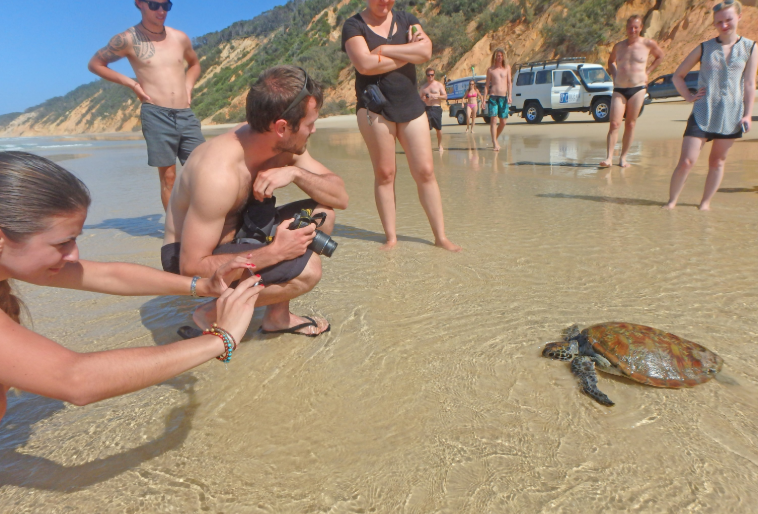 202601281034-6180685661.png image.png